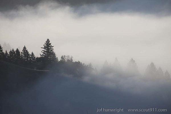 IMG 0243