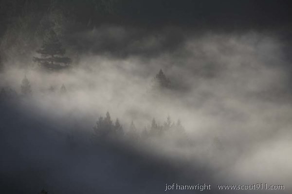 IMG 0271
