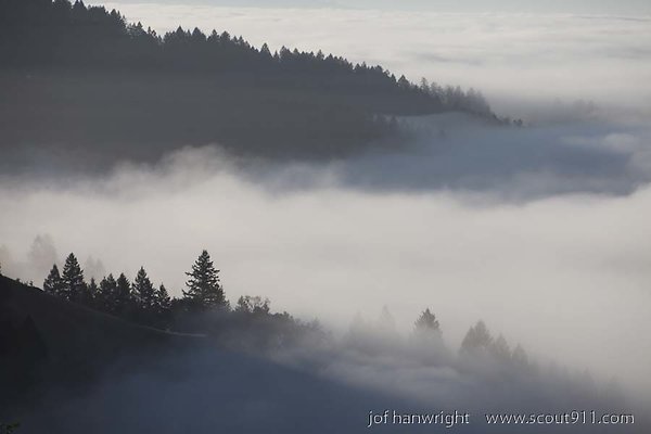 IMG 0251