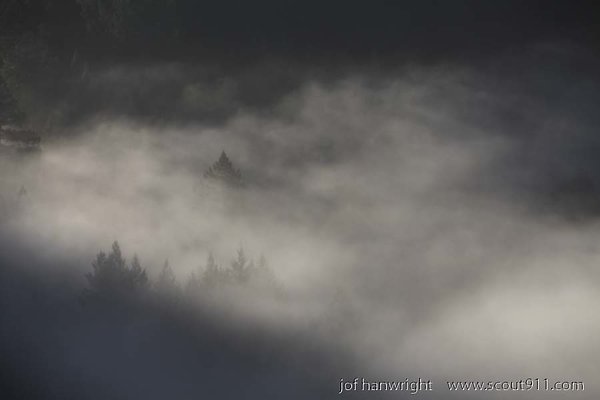 IMG 0267