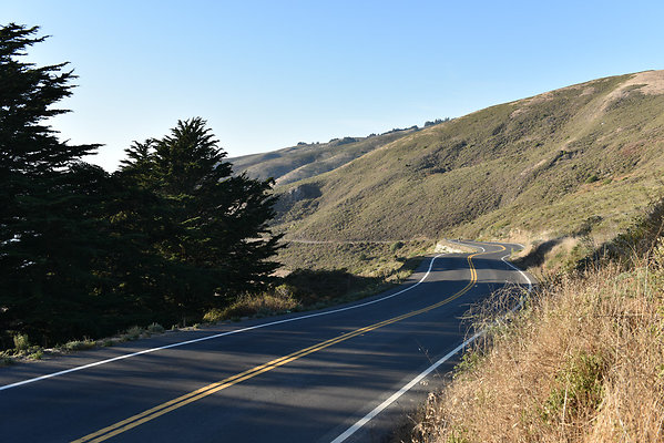 DSC 8624