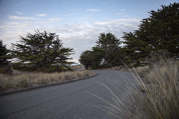 bodega dunes