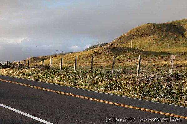 IMG 3098
