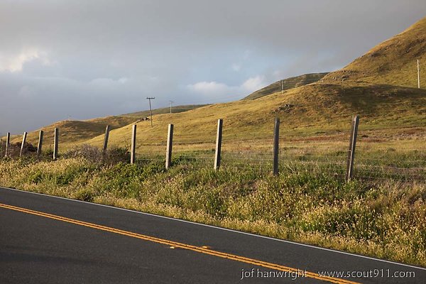 IMG 3096