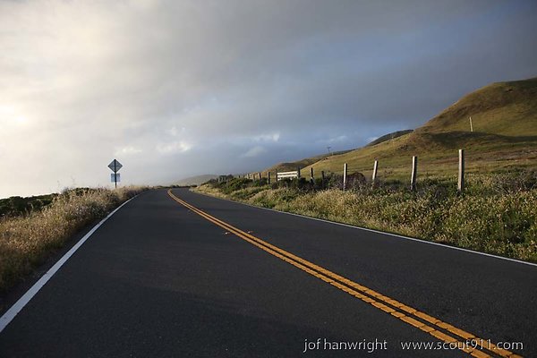 IMG 3104