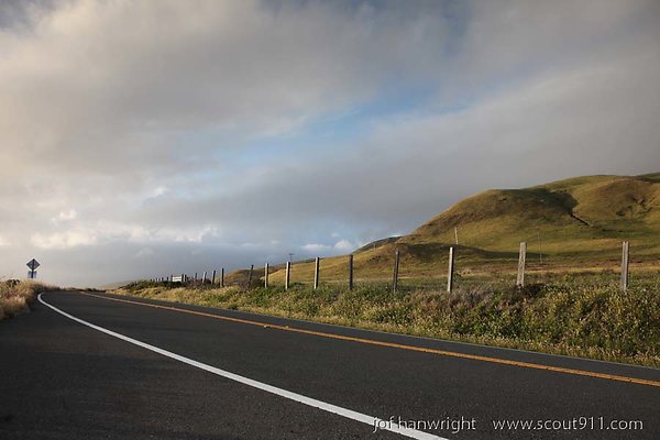 IMG 3094