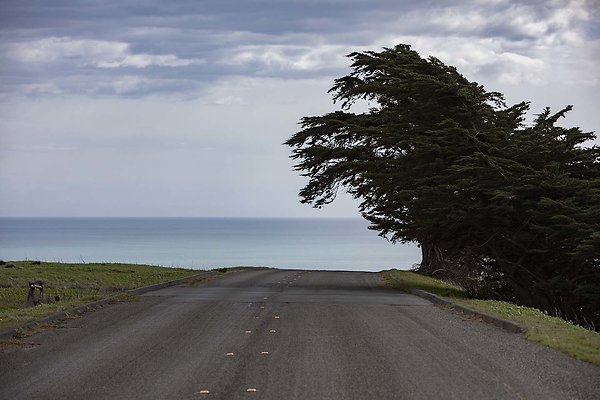 pt reyes drakes bay road