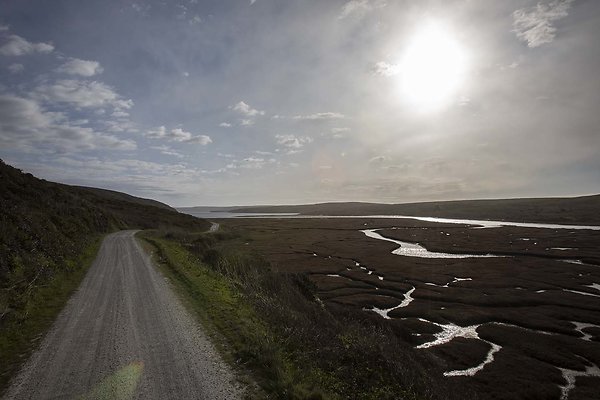 pt reyes drakes estero
