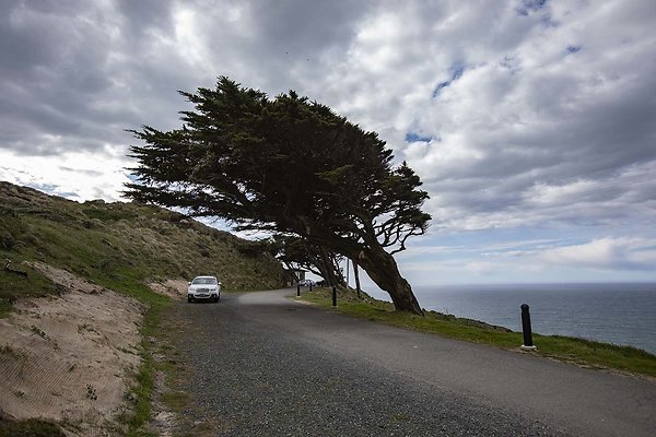 pt reyes lighthouse road