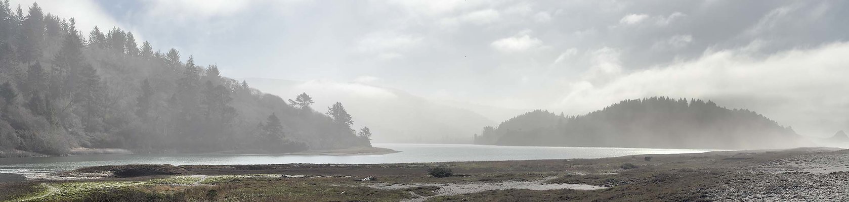 IMG 7498
