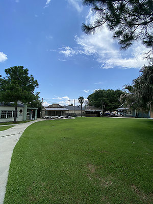 IMG 0791