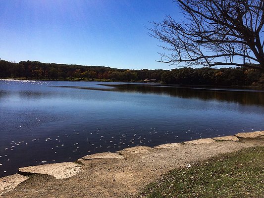 Willow Springs Forest Preserve 22 - www.scout911.com