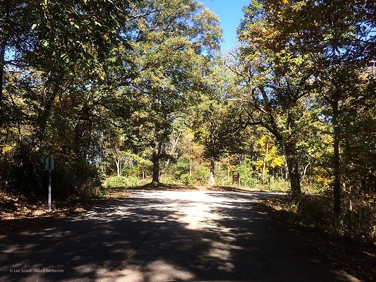 Willow Springs Forest Preserve 17 - www.scout911.com