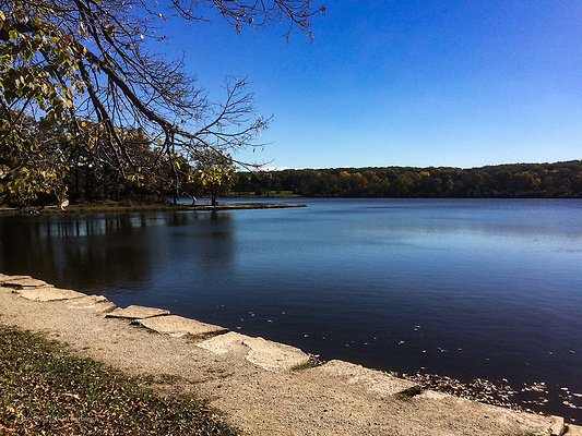 Willow Springs Forest Preserve 23 - www.scout911.com