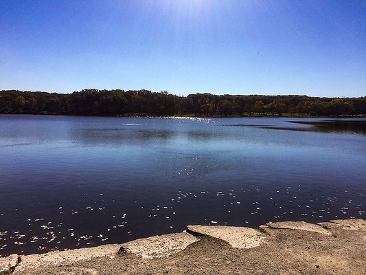 Willow Springs Forest Preserve 21 - www.scout911.com