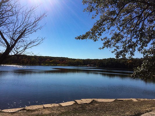 Willow Springs Forest Preserve 19 - www.scout911.com