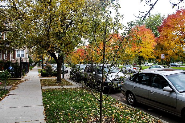 Wicker Park 25 - www.scout911.com