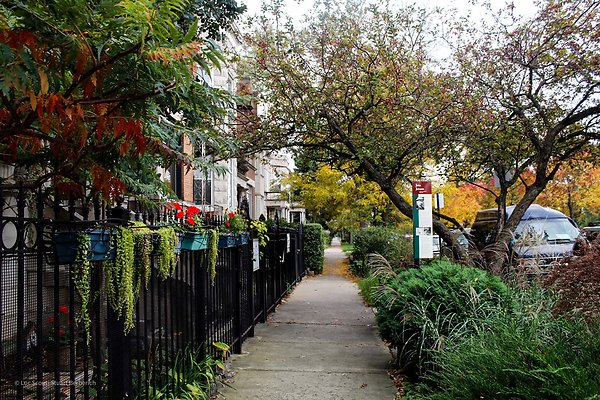 Wicker Park 33 - www.scout911.com