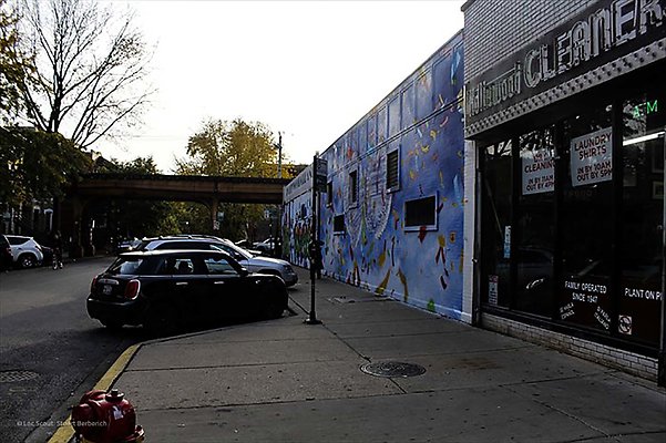 Wicker Park 16 - www.scout911.com