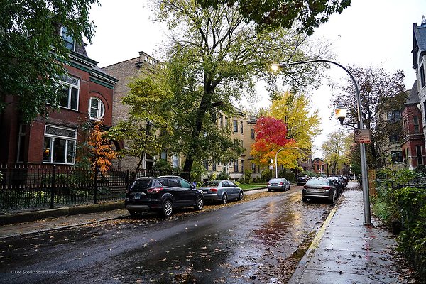 Wicker Park 106 - www.scout911.com