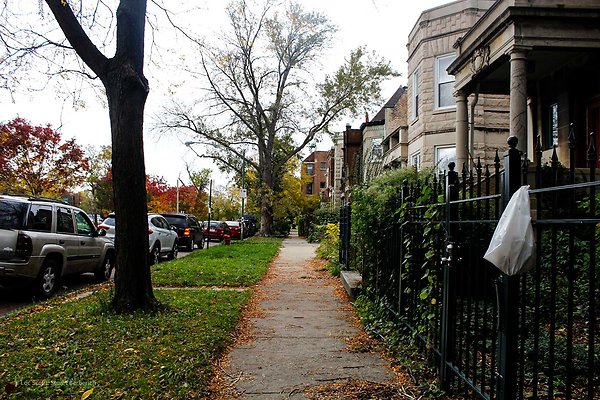 Wicker Park 27 - www.scout911.com