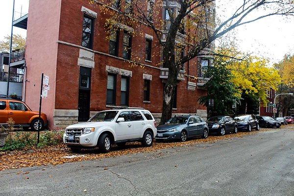 Wicker Park 84 - www.scout911.com