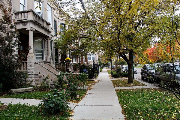 Wicker Park 26 - www.scout911.com