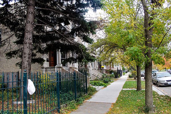 Wicker Park 29 - www.scout911.com