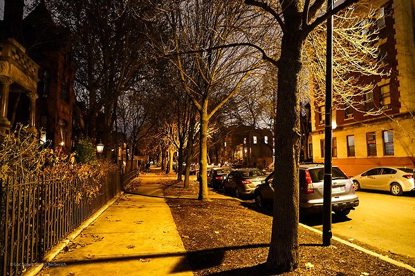 Wicker Park 119 - www.scout911.com
