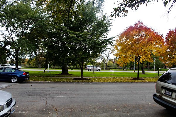Wicker Park 24 - www.scout911.com