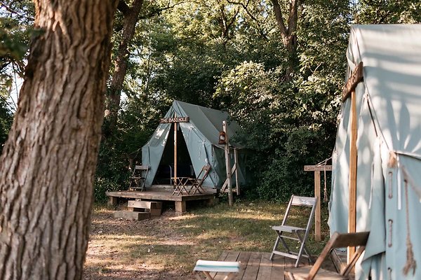 Matt+Scheffer+|+summertime+tents.JPG