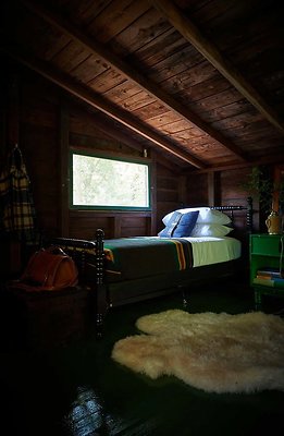 GSA.CabinLg+398.jpg