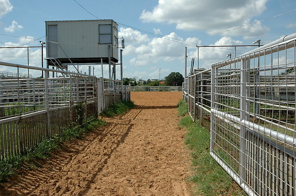 DSC 0066