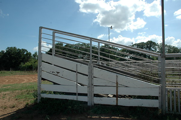 DSC 0118