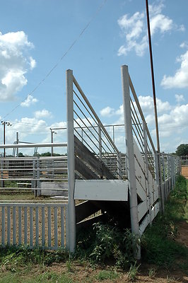 DSC 0065
