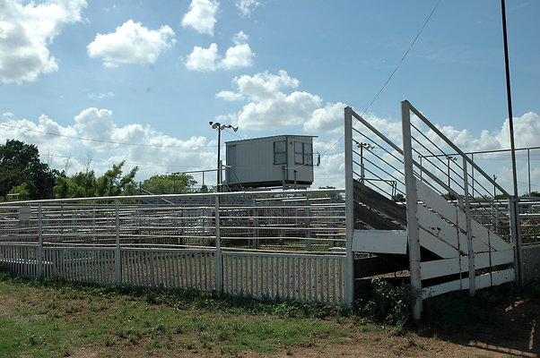 DSC 0137