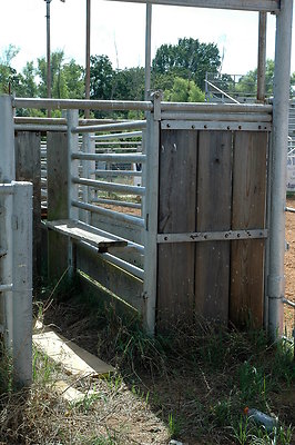 DSC 0070