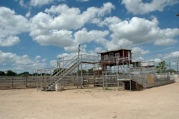 DSC 0059