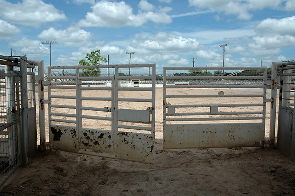 DSC 0052