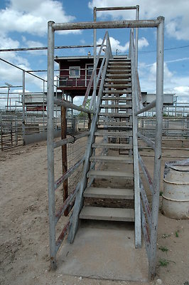 DSC 0004