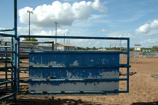 DSC 0181