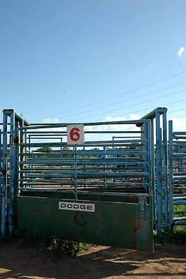 DSC 0259