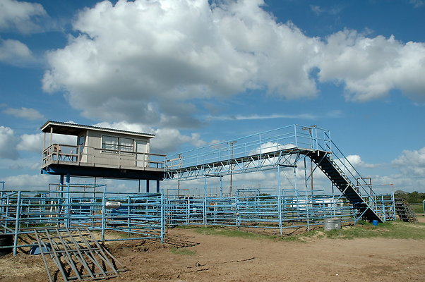 DSC 0268