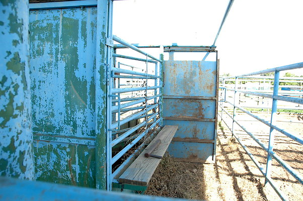 DSC 0184