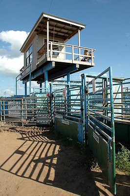 DSC 0215