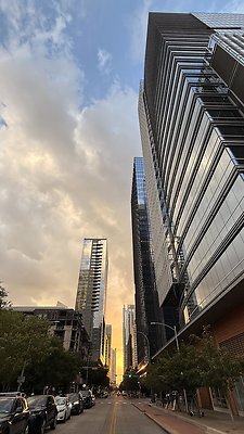 IMG 0273