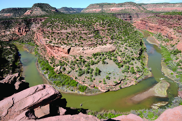 Gateway 010 - 1006 Top of the World 

Listing - Allison Templin