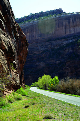 Gateway 029 - 1006 Top of the World 

Listing - Allison Templin