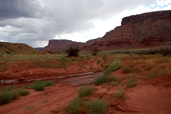 Harley&apos;s Ranch 018