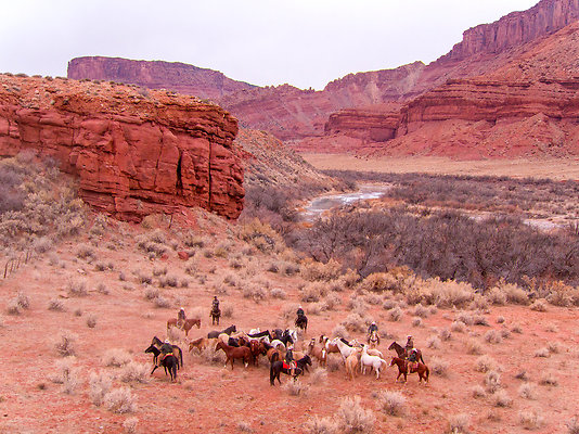 Harleys Ranch-12